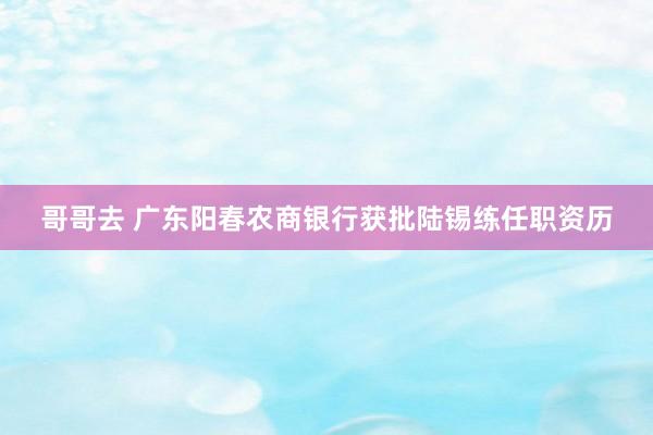 哥哥去 广东阳春农商银行获批陆锡练任职资历