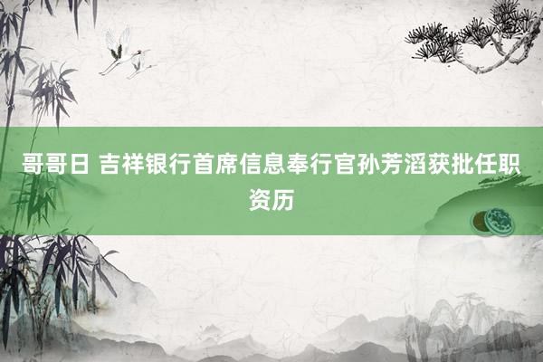 哥哥日 吉祥银行首席信息奉行官孙芳滔获批任职资历