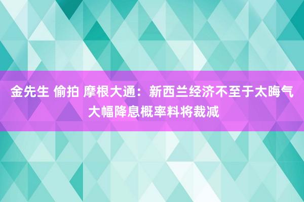 金先生 偷拍 摩根大通：新西兰经济不至于太晦气 大幅降息概率料将裁减