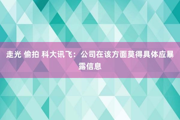 走光 偷拍 科大讯飞：公司在该方面莫得具体应暴露信息