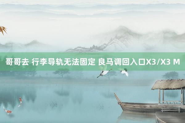 哥哥去 行李导轨无法固定 良马调回入口X3/X3 M