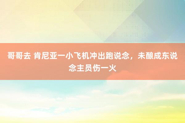 哥哥去 肯尼亚一小飞机冲出跑说念，未酿成东说念主员伤一火