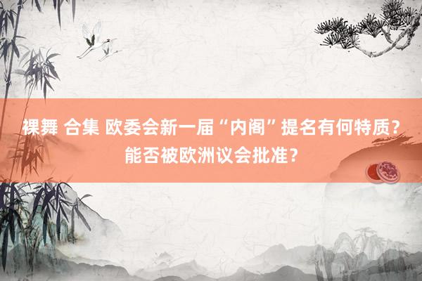 裸舞 合集 欧委会新一届“内阁”提名有何特质？能否被欧洲议会批准？