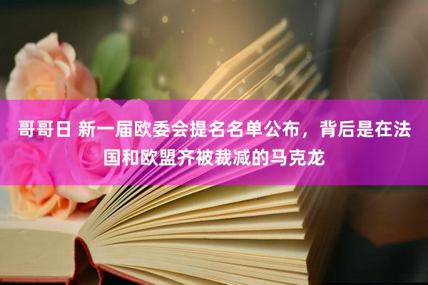 哥哥日 新一届欧委会提名名单公布，背后是在法国和欧盟齐被裁减的马克龙