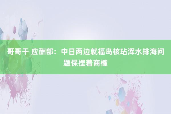 哥哥干 应酬部：中日两边就福岛核玷浑水排海问题保捏着商榷