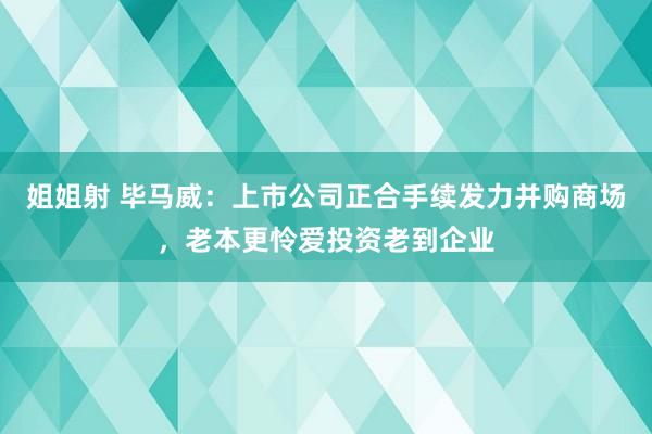 姐姐射 毕马威：上市公司正合手续发力并购商场，老本更怜爱投资老到企业