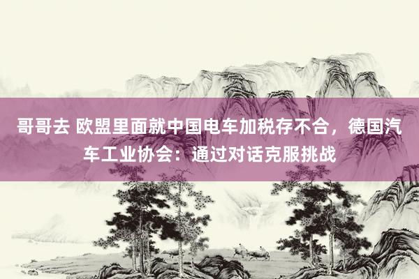 哥哥去 欧盟里面就中国电车加税存不合，德国汽车工业协会：通过对话克服挑战