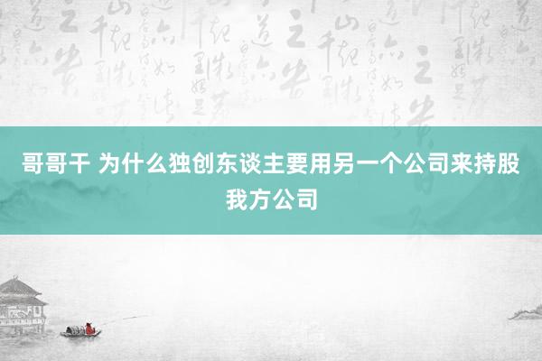 哥哥干 为什么独创东谈主要用另一个公司来持股我方公司