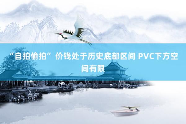 “自拍偷拍” 价钱处于历史底部区间 PVC下方空间有限