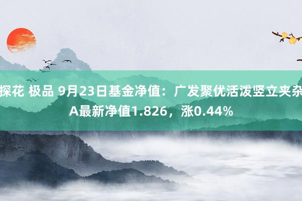 探花 极品 9月23日基金净值：广发聚优活泼竖立夹杂A最新净值1.826，涨0.44%