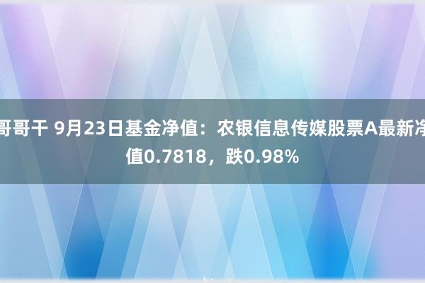 哥哥干 9月23日基金净值：农银信息传媒股票A最新净值0.7818，跌0.98%