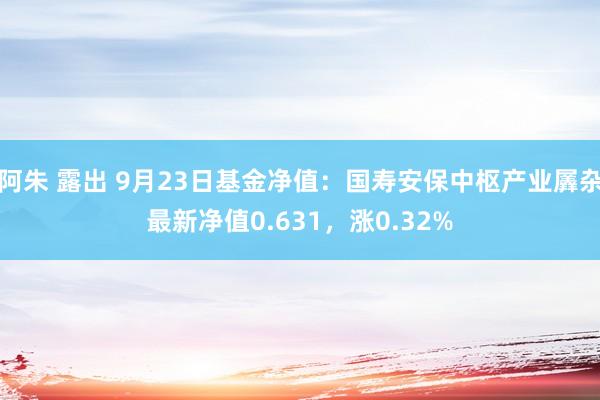 阿朱 露出 9月23日基金净值：国寿安保中枢产业羼杂最新净值0.631，涨0.32%