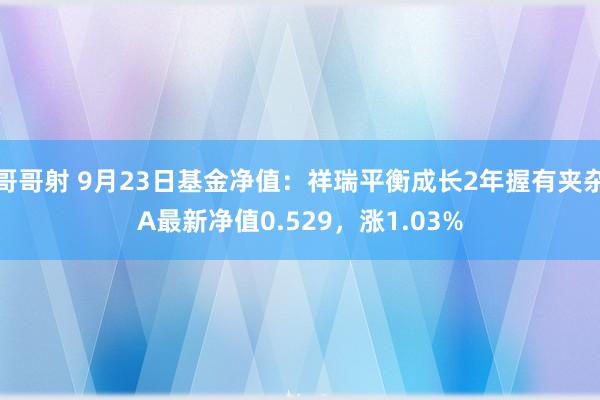 哥哥射 9月23日基金净值：祥瑞平衡成长2年握有夹杂A最新净值0.529，涨1.03%