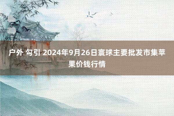 户外 勾引 2024年9月26日寰球主要批发市集苹果价钱行情