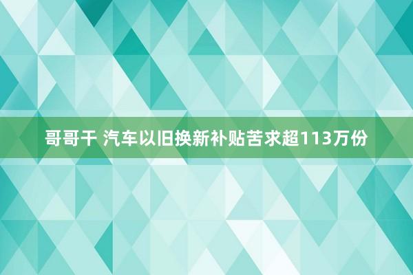 哥哥干 汽车以旧换新补贴苦求超113万份