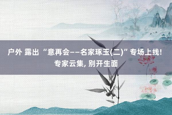 户外 露出 “意再会——名家琢玉(二)”专场上线! 专家云集， 别开生面