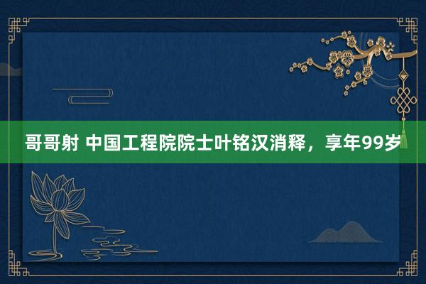 哥哥射 中国工程院院士叶铭汉消释，享年99岁