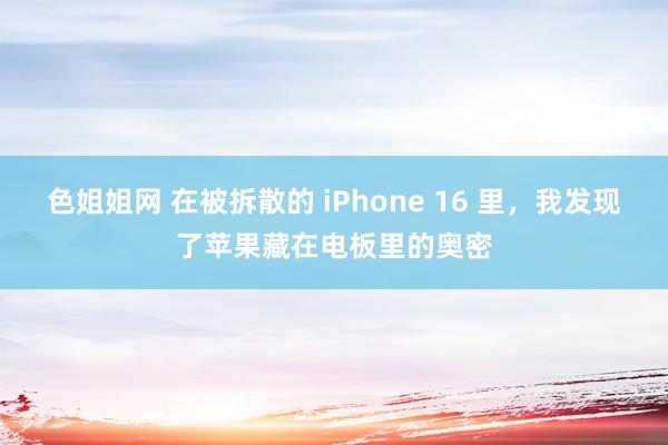 色姐姐网 在被拆散的 iPhone 16 里，我发现了苹果藏在电板里的奥密