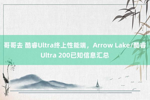 哥哥去 酷睿Ultra终上性能端，Arrow Lake/酷睿Ultra 200已知信息汇总