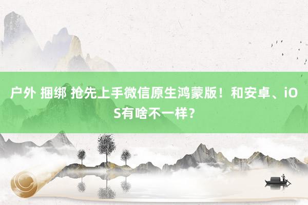 户外 捆绑 抢先上手微信原生鸿蒙版！和安卓、iOS有啥不一样？