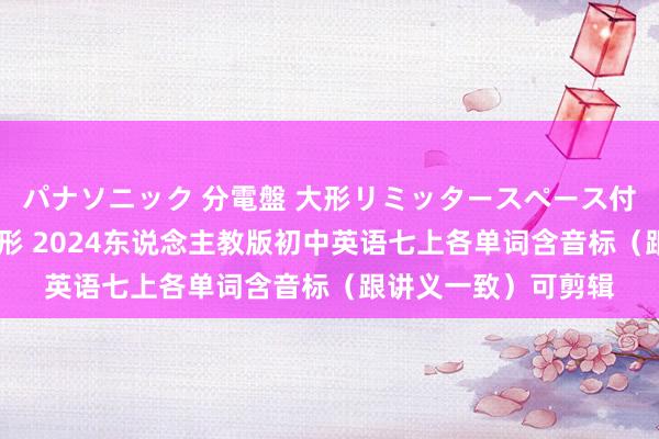 パナソニック 分電盤 大形リミッタースペース付 露出・半埋込両用形 2024东说念主教版初中英语七上各单词含音标（跟讲义一致）可剪辑