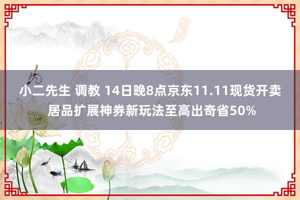 小二先生 调教 14日晚8点京东11.11现货开卖 居品扩展神券新玩法至高出奇省50%