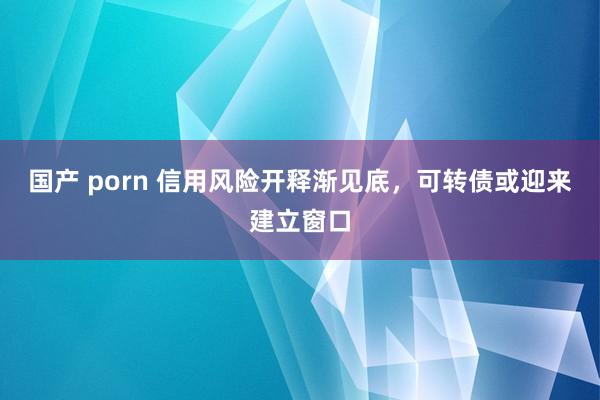 国产 porn 信用风险开释渐见底，可转债或迎来建立窗口