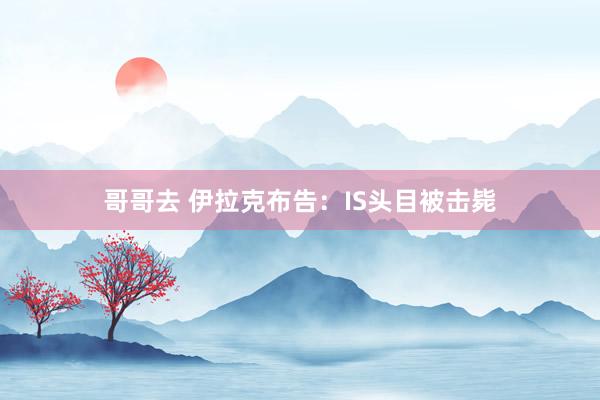 哥哥去 伊拉克布告：IS头目被击毙