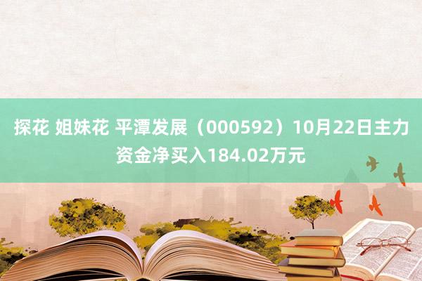 探花 姐妹花 平潭发展（000592）10月22日主力资金净买入184.02万元