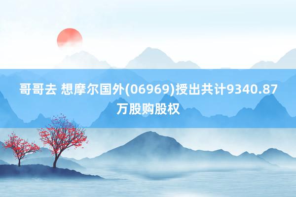 哥哥去 想摩尔国外(06969)授出共计9340.87万股购股权