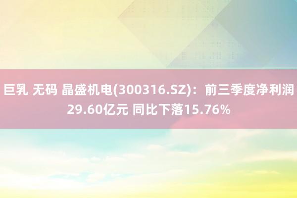 巨乳 无码 晶盛机电(300316.SZ)：前三季度净利润29.60亿元 同比下落15.76%