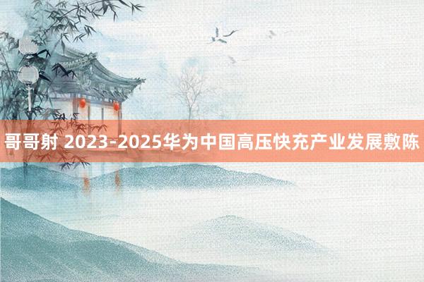 哥哥射 2023-2025华为中国高压快充产业发展敷陈