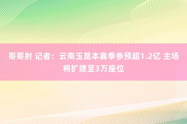 哥哥射 记者：云南玉昆本赛季参预超1.2亿 主场将扩建至3万座位