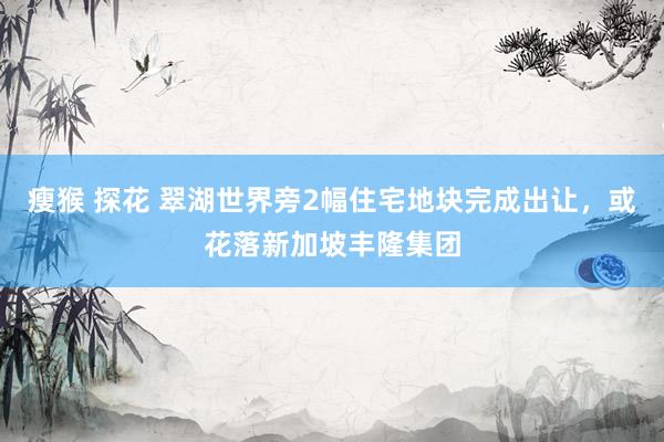 瘦猴 探花 翠湖世界旁2幅住宅地块完成出让，或花落新加坡丰隆集团