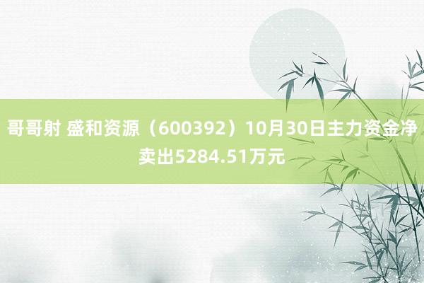 哥哥射 盛和资源（600392）10月30日主力资金净卖出5284.51万元