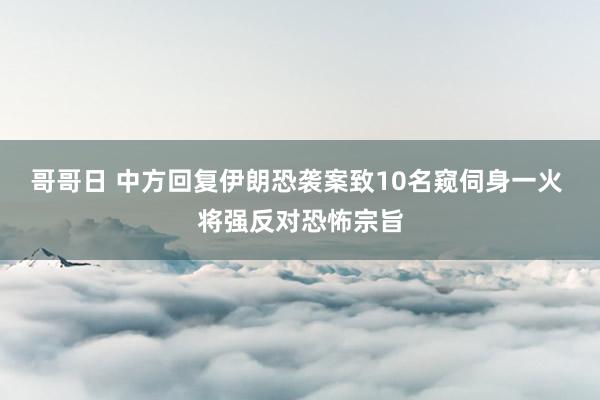 哥哥日 中方回复伊朗恐袭案致10名窥伺身一火 将强反对恐怖宗旨