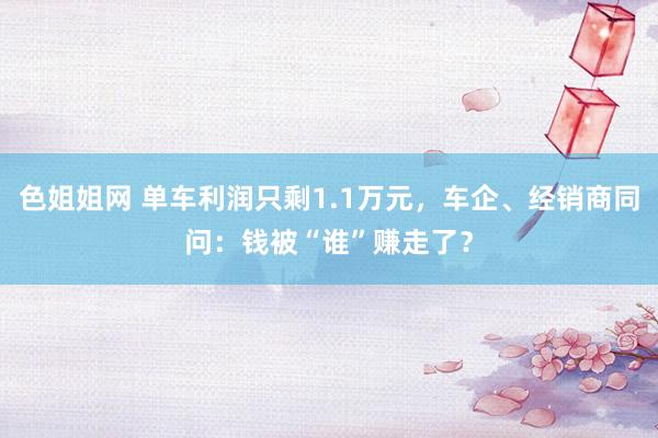 色姐姐网 单车利润只剩1.1万元，车企、经销商同问：钱被“谁”赚走了？