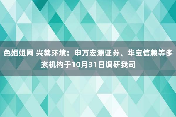 色姐姐网 兴蓉环境：申万宏源证券、华宝信赖等多家机构于10月31日调研我司