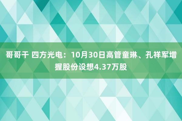 哥哥干 四方光电：10月30日高管童琳、孔祥军增握股份设想4.37万股