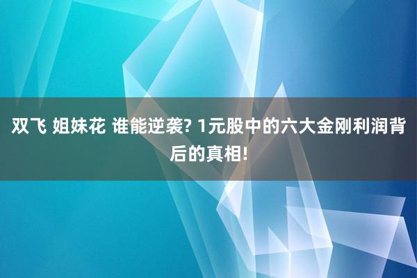 双飞 姐妹花 谁能逆袭? 1元股中的六大金刚利润背后的真相!