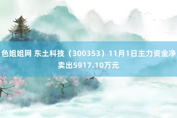 色姐姐网 东土科技（300353）11月1日主力资金净卖出5917.10万元