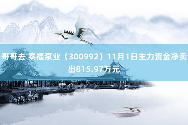 哥哥去 泰福泵业（300992）11月1日主力资金净卖出815.97万元