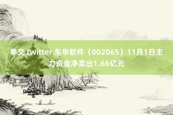 拳交 twitter 东华软件（002065）11月1日主力资金净卖出1.66亿元