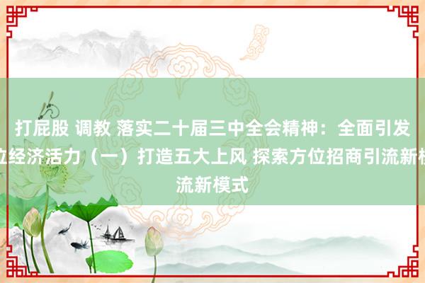 打屁股 调教 落实二十届三中全会精神：全面引发方位经济活力（一）打造五大上风 探索方位招商引流新模式