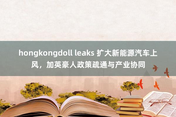 hongkongdoll leaks 扩大新能源汽车上风，加英豪人政策疏通与产业协同