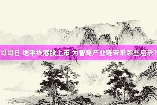 哥哥日 地平线港股上市 为智驾产业链带来哪些启示？