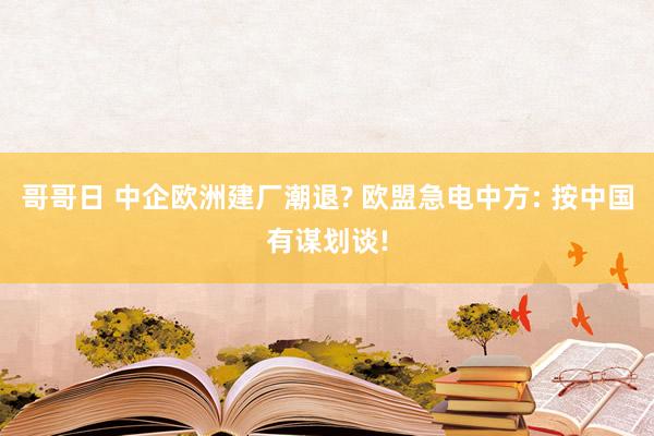 哥哥日 中企欧洲建厂潮退? 欧盟急电中方: 按中国有谋划谈!