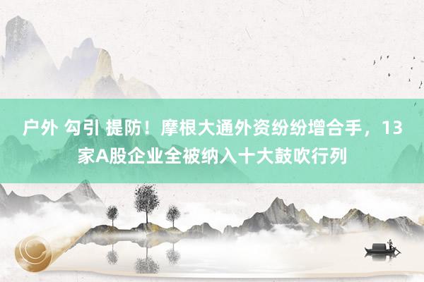 户外 勾引 提防！摩根大通外资纷纷增合手，13家A股企业全被纳入十大鼓吹行列