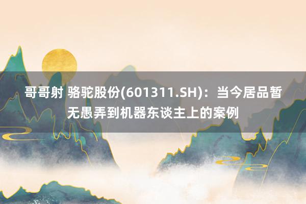 哥哥射 骆驼股份(601311.SH)：当今居品暂无愚弄到机器东谈主上的案例