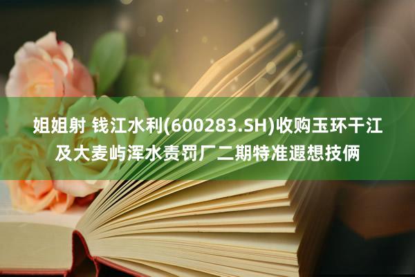 姐姐射 钱江水利(600283.SH)收购玉环干江及大麦屿浑水责罚厂二期特准遐想技俩